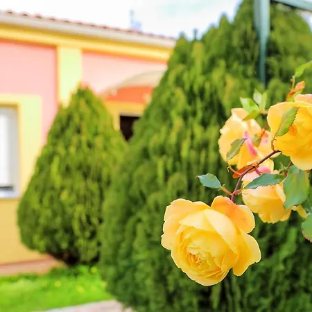 Elli 1 Front With Garden Apartment *